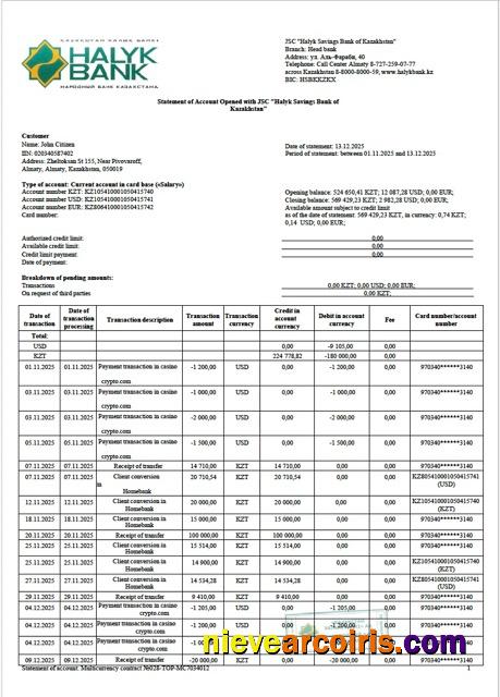 Kazakhstan Halyk Bank statement of account Word and PDF